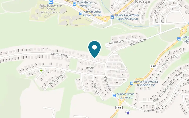Map showing Pisgat HaYaar at 151 Meron Street, Kfar Vradim
