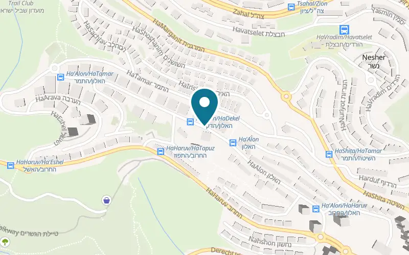 Map showing Pizza Bella at 33 HaAlon Street, Nesher