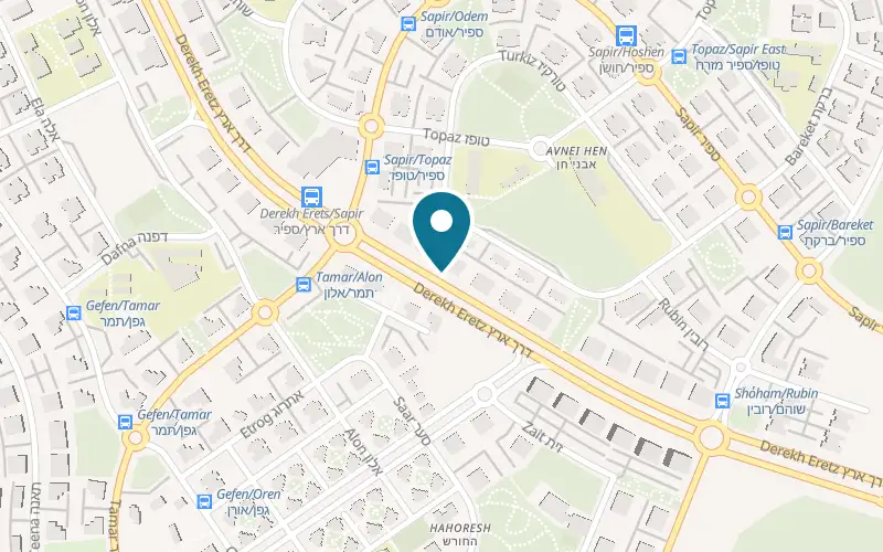 Map showing Pizza Fix at 43 Derech Eretz, Harish