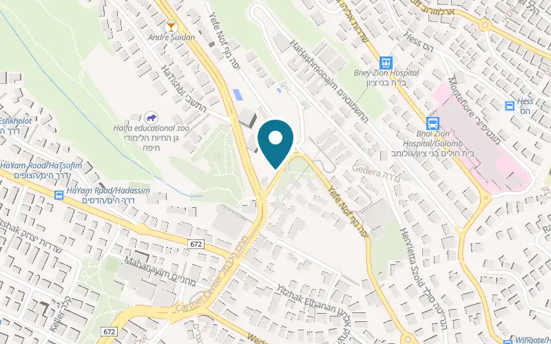 Map showing Pizza Panorama at 6 Sha'ar HaLevanon Street, Carmel Center, Haifa