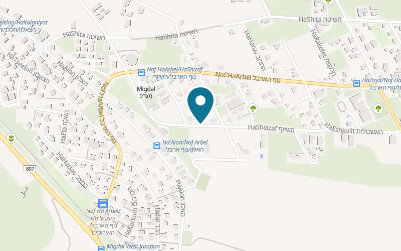 Map showing Pizza Refael at HaShizaf Street, Migdal