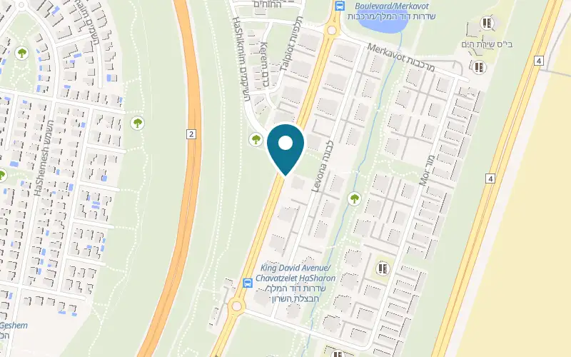 Map showing Pizza Van Gogh at 34 Sderot David HaMelech, Or Akiva