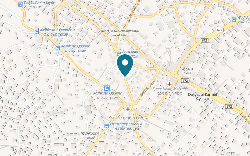 Map showing Rakweh at Kamal Jumblatt Street, Daliyat al-Karmel
