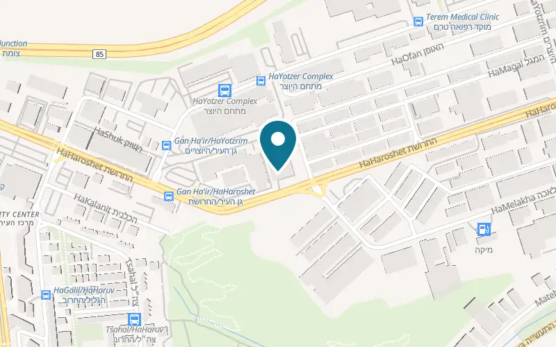 Map showing Rofe Hayot Veterinary Clinic at 17 HaHaroshet Street, at the Dor Alon fuel station complex, Karmiel