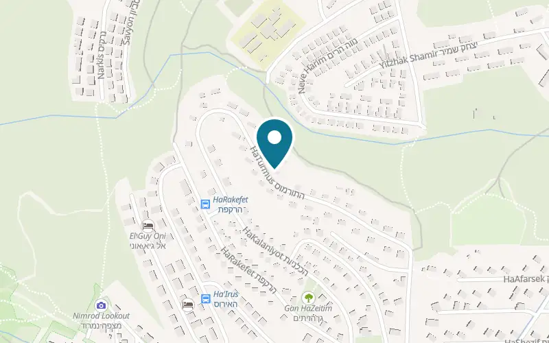 Map showing Rosh Pinat Noy at 30 HaTurmos Street, Rosh Pinna