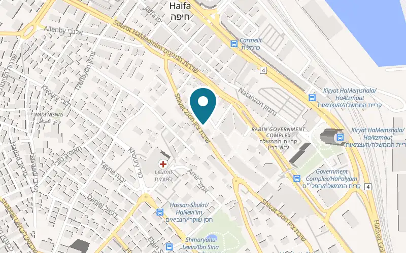 Map showing Salomon's Vinyl at 19 Shivat Zion Street, corner of HaMaronitim Street, downtown, Haifa