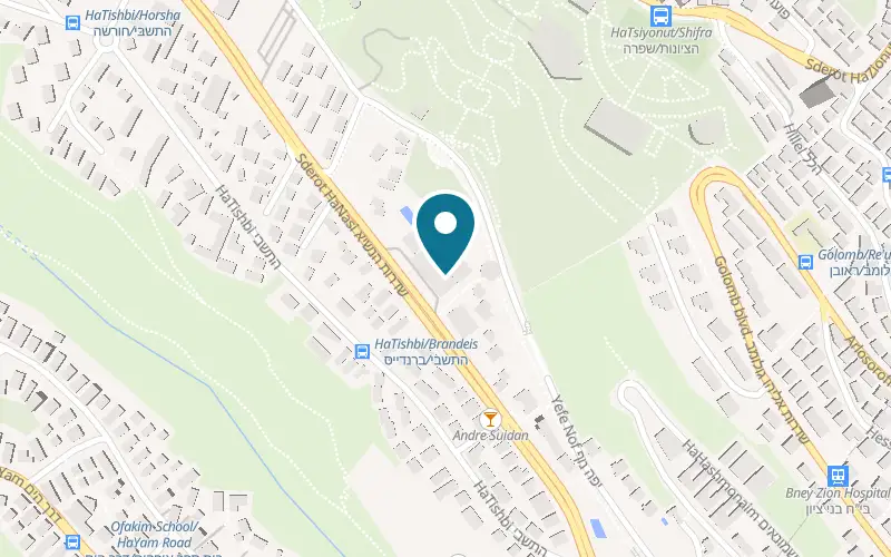 Map showing Share Spa Dan Carmel at Dan Carmel Hotel, 85 HaNassi Avenue, Carmel Center, Haifa