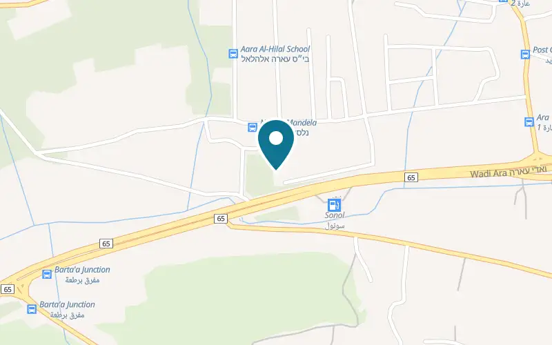 Map showing Shawarmati at Road 65, opposite the Sonol petrol station, Ar'ara