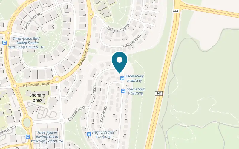 Map showing Shoham Veterinary Center at 158 Tavor Street, Shoham