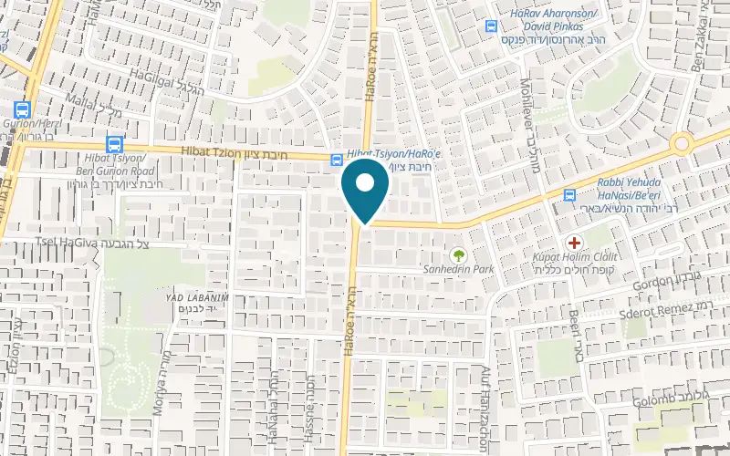 מפה: ספייסי גריל בר ברחוב הרא"ה 133, רמת גן