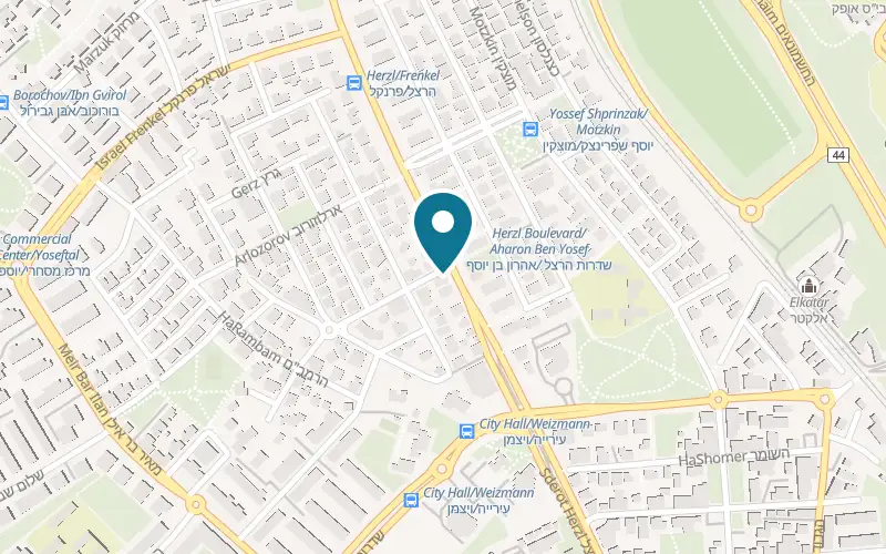 Map showing Sultan at 58 Herzl Street, Ramla