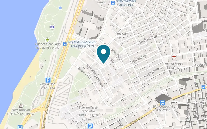 Map showing Suzana at 9 Shabazi Street, Tel Aviv-Yafo