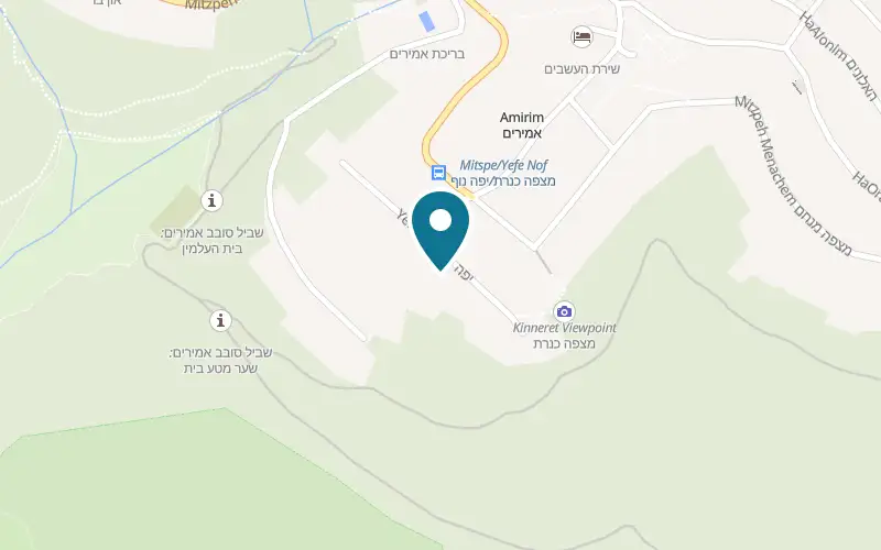 Map showing Switzerland in Amirim at 51 Yefe Nof Street, Amirim