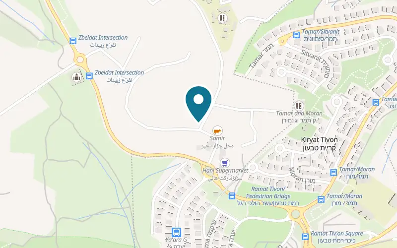 Map showing Taboon Ali at 20 Al-Nakhil Street, Zubeidat, Basmat Tab'un