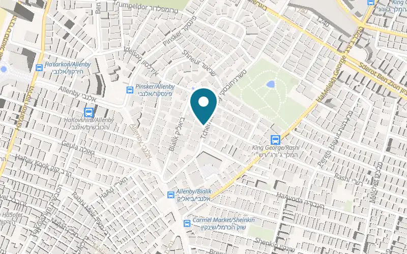 Map showing The Saul Hotel at 17 Tchernichovsky Street, Tel Aviv-Yafo
