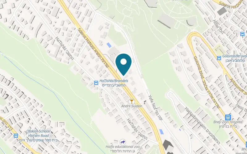 Map showing Tikotin Museum of Japanese Art at 89 HaNasi Avenue, Haifa