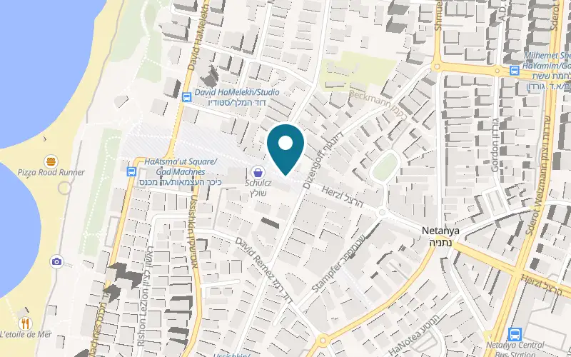 Map showing Tony Ice at 5 Herzl Street, Netanya