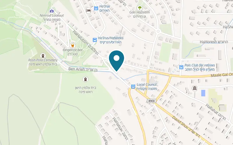 Map showing Villa Dadia at David Shuv Street, Rosh Pinna