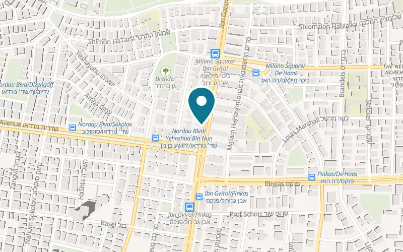 Map showing Wiley X Israel at 165 Ibn Gabirol Street, Tel Aviv-Yafo