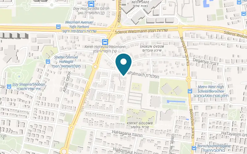 Map showing Wiz Kids at 8 HaPalmach Boulevard, Ra'anana
