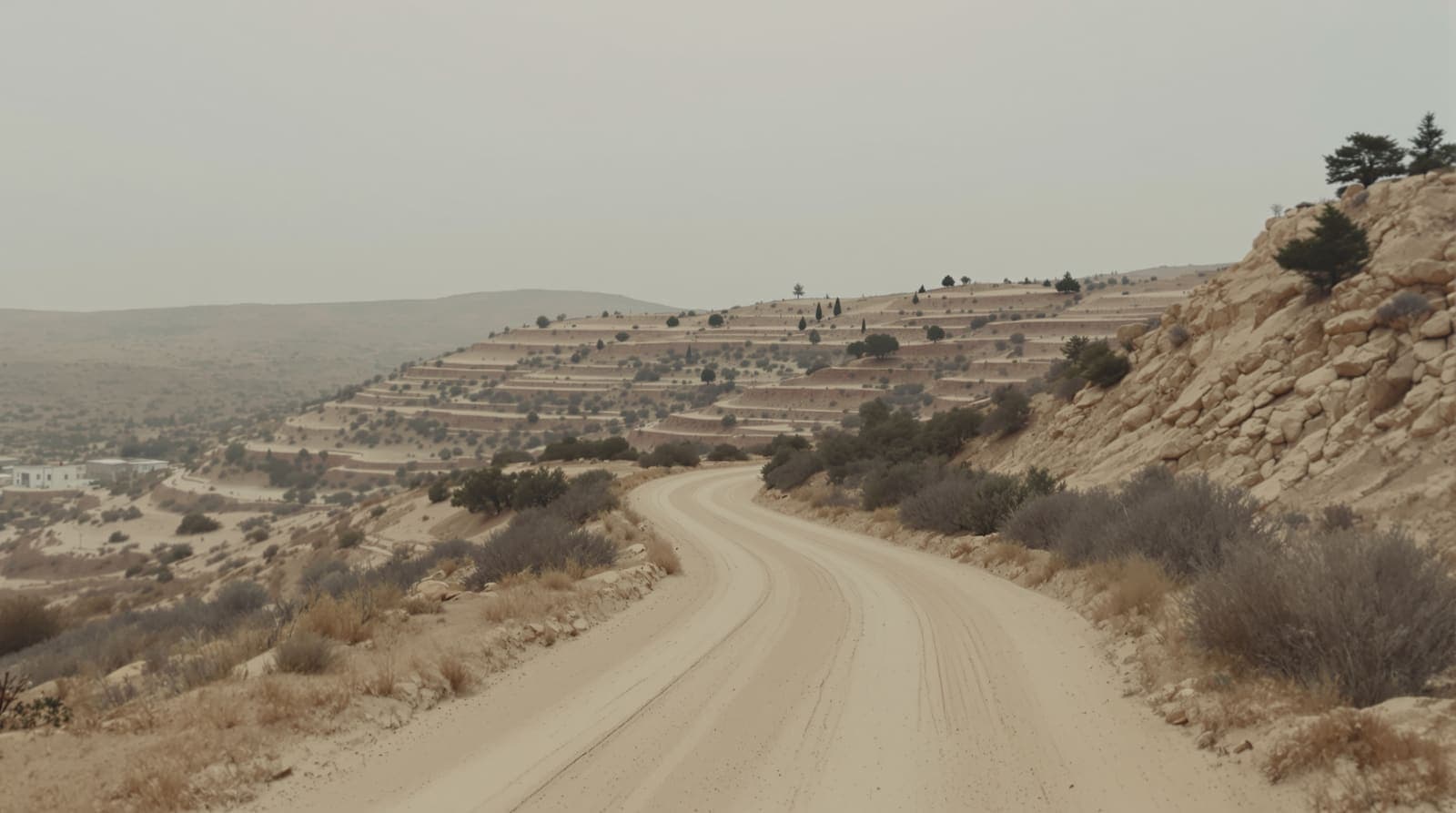 Illustration of an empty dirt track winding through open scrubland and terraced hills west of Jerusalem under soft overcast light.