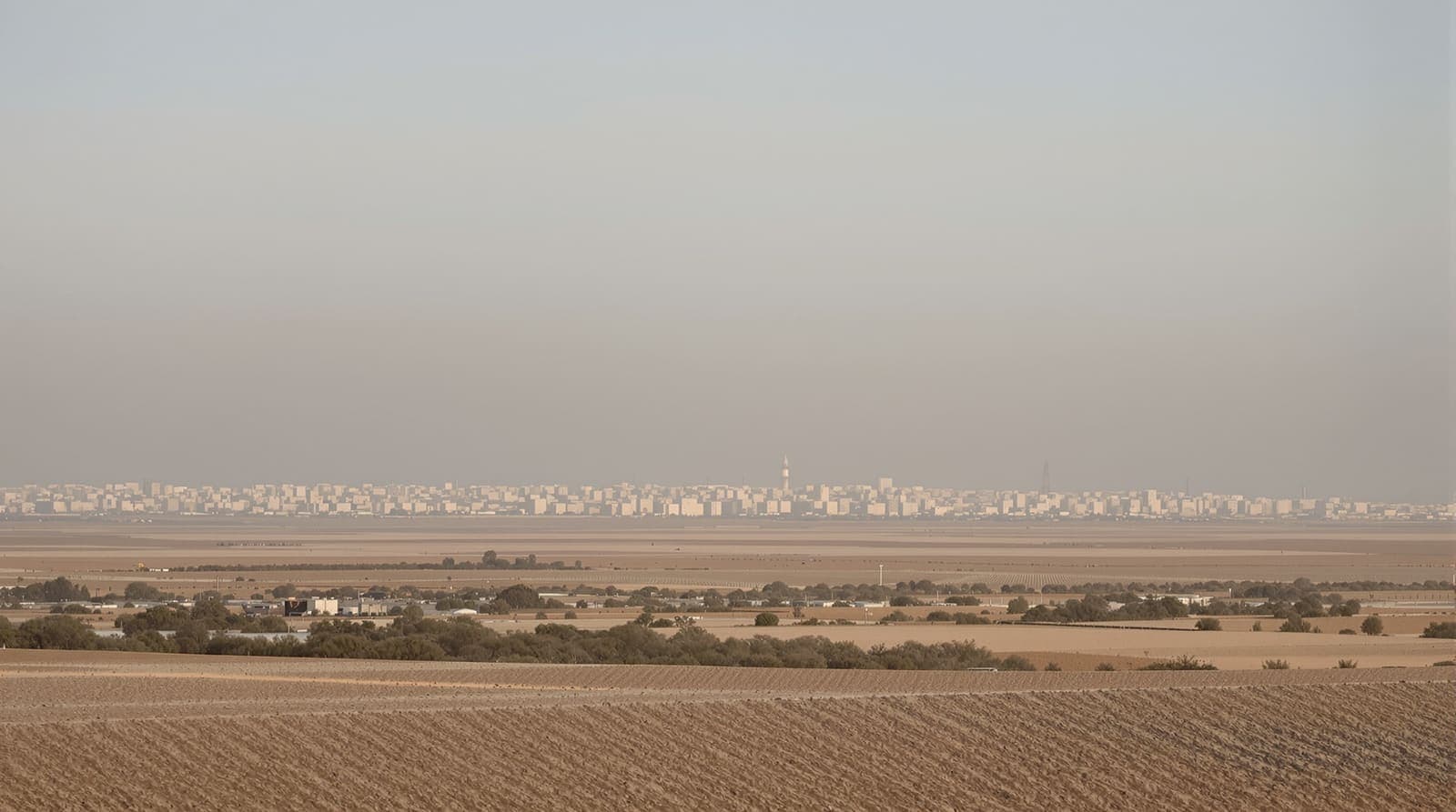 Illustration of the hazed Gaza skyline seen from distant farmland at dawn under a grey sky