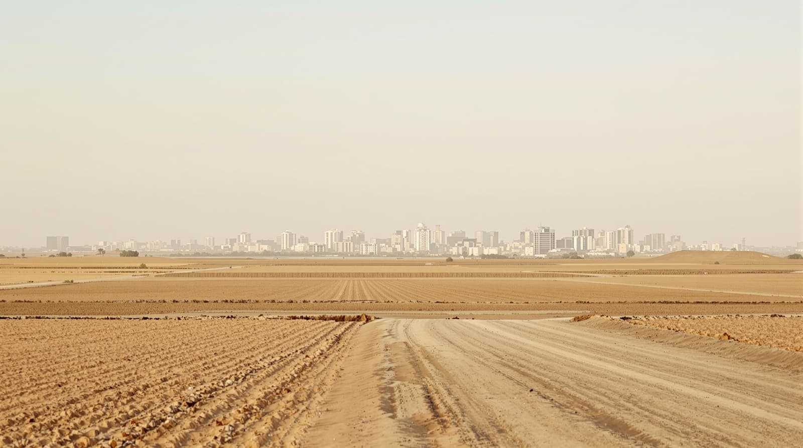 Illustration of the low Gaza City skyline in soft dawn haze, seen from distant flat farmland with the sea beyond