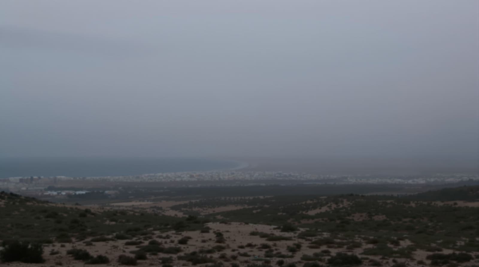 Illustration of a hazy distant Gaza skyline at dusk seen from open scrubland across the coast.