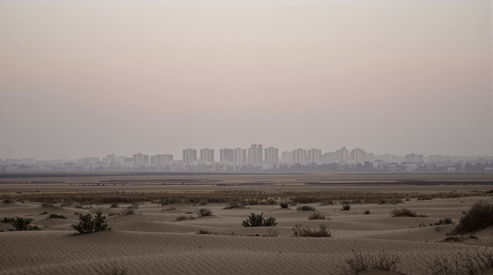 Illustration of the Gaza City skyline seen from a distance across sandy fields, hazed under an overcast dawn sky.