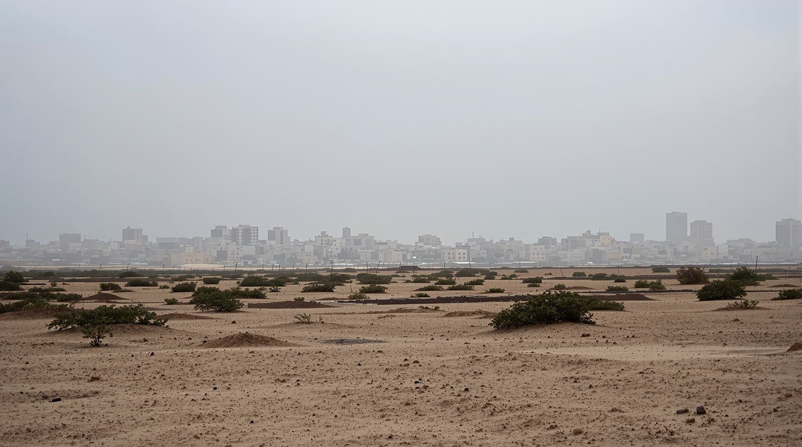 Illustration of a distant southern Gaza skyline hazed in dusk light, seen across open scrubland from far away.