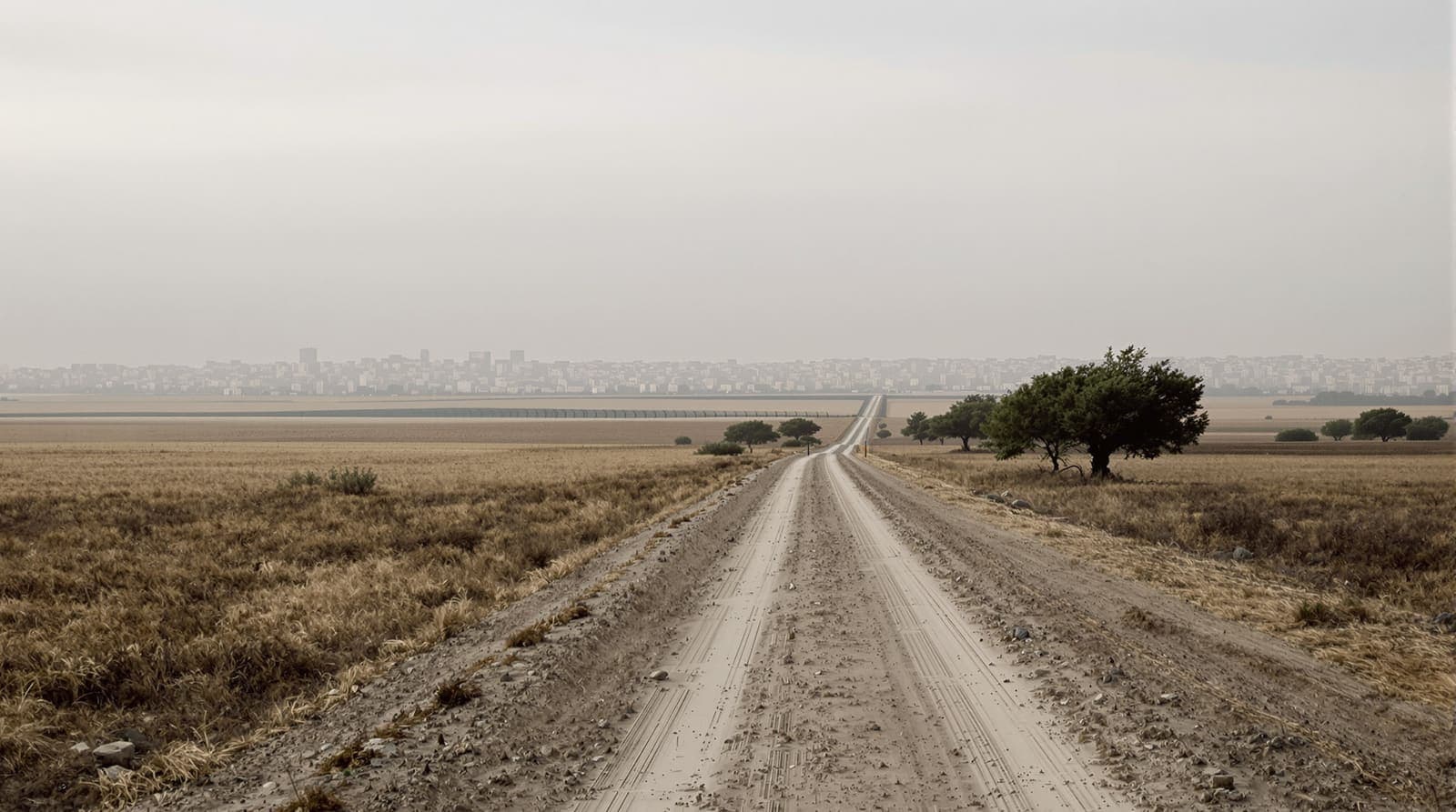 Illustration of the distant northern Gaza skyline seen across flat scrub farmland at dawn under an overcast sky.