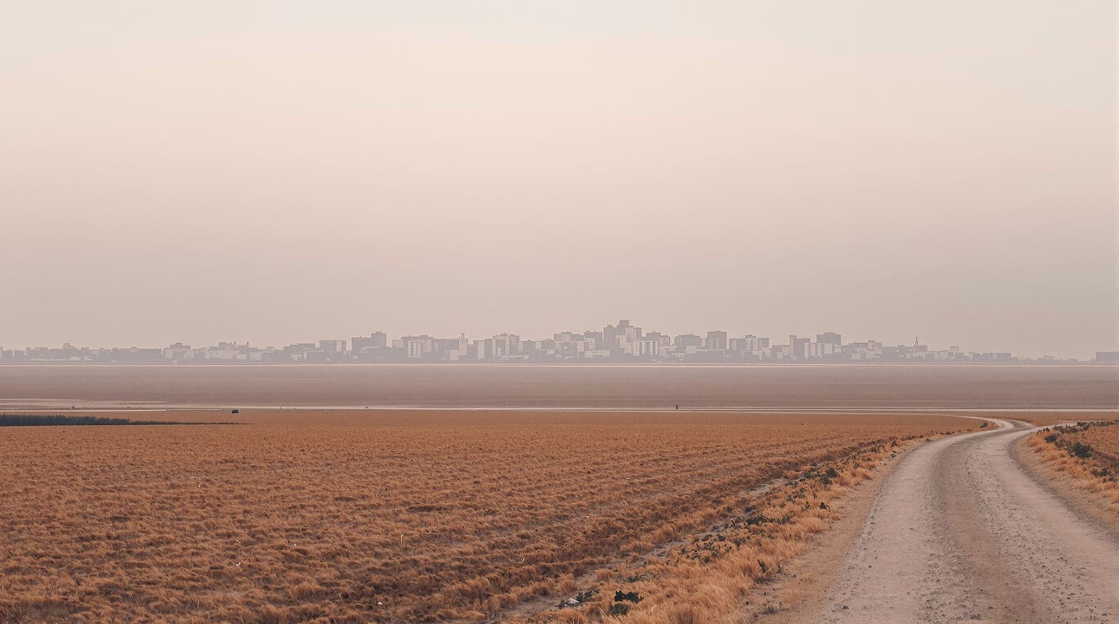 Illustration of the distant hazed skyline of central Gaza seen across empty farmland at dawn, quiet and atmospheric.