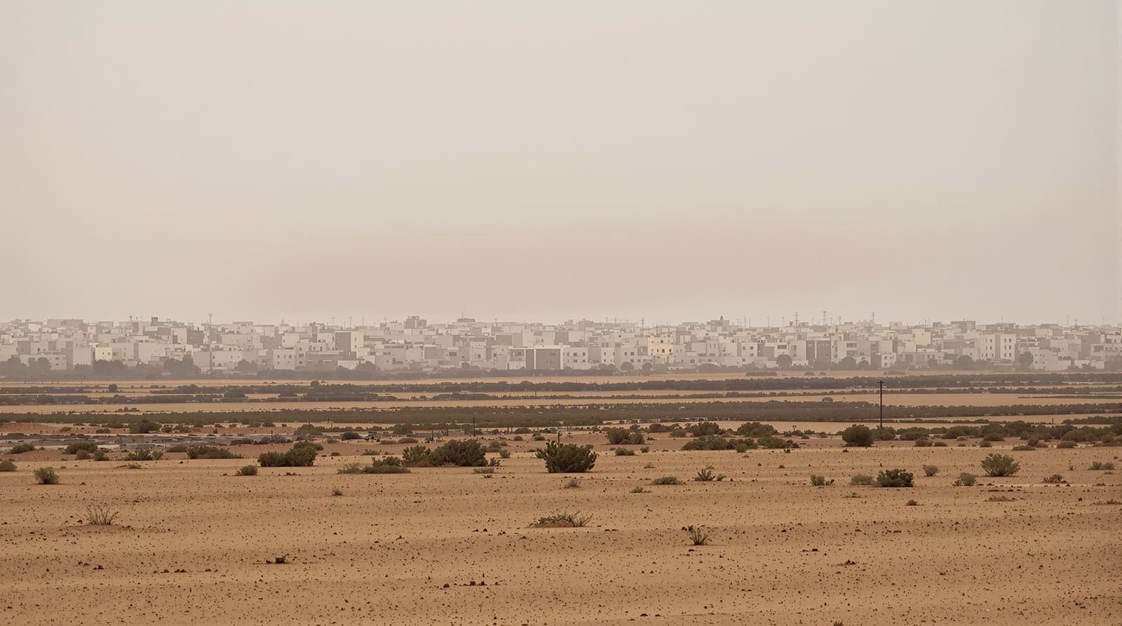 Illustration of the hazy skyline of Khan Younis in southern Gaza seen from distant farmland at dawn