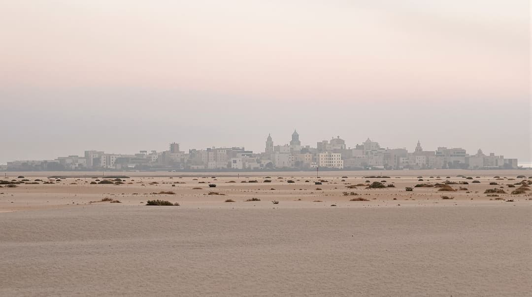 Security Outlet Security News | Israel.com