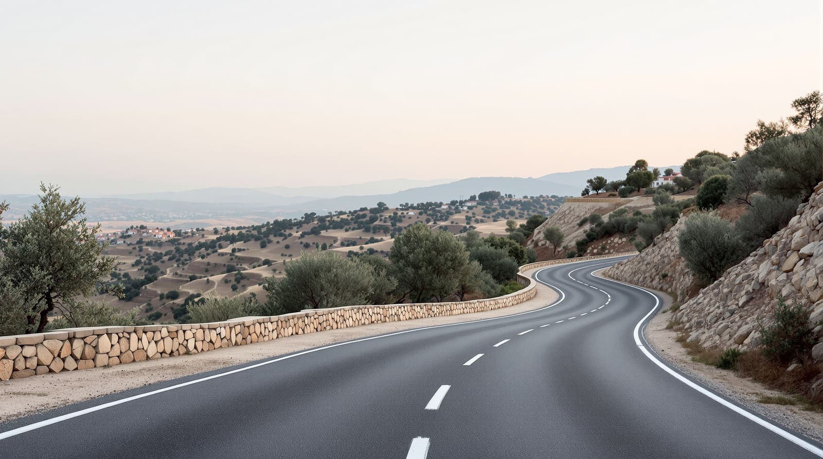 Illustration of a quiet two-lane road winding through olive-terraced limestone hills in the West Bank at dawn
