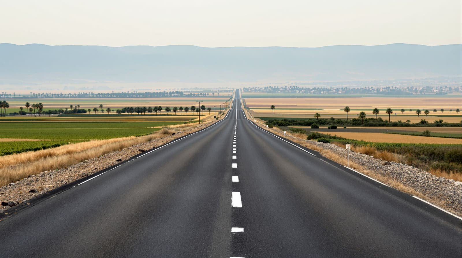 Illustration of an empty two-lane country road crossing farm fields in the Beit Shean valley at dawn, with the Gilboa ridge in the distance.