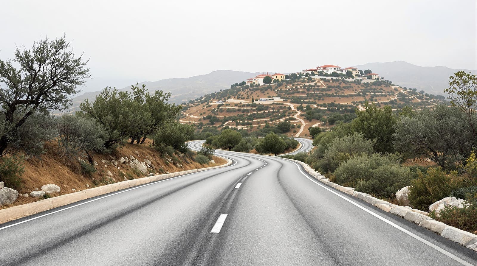 Illustration of an empty road winding through olive terraces toward a hilltop community in the Samaria hills under an overcast sky