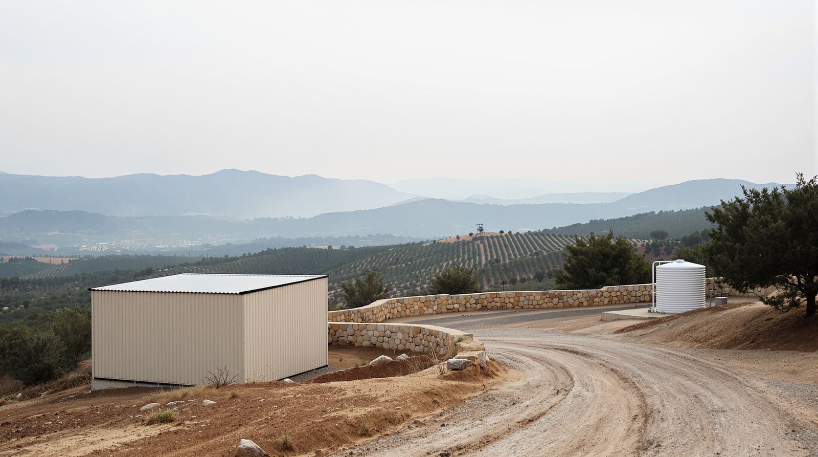Illustration of a hilltop farm with olive terraces and a dirt track in the Binyamin hills at dawn