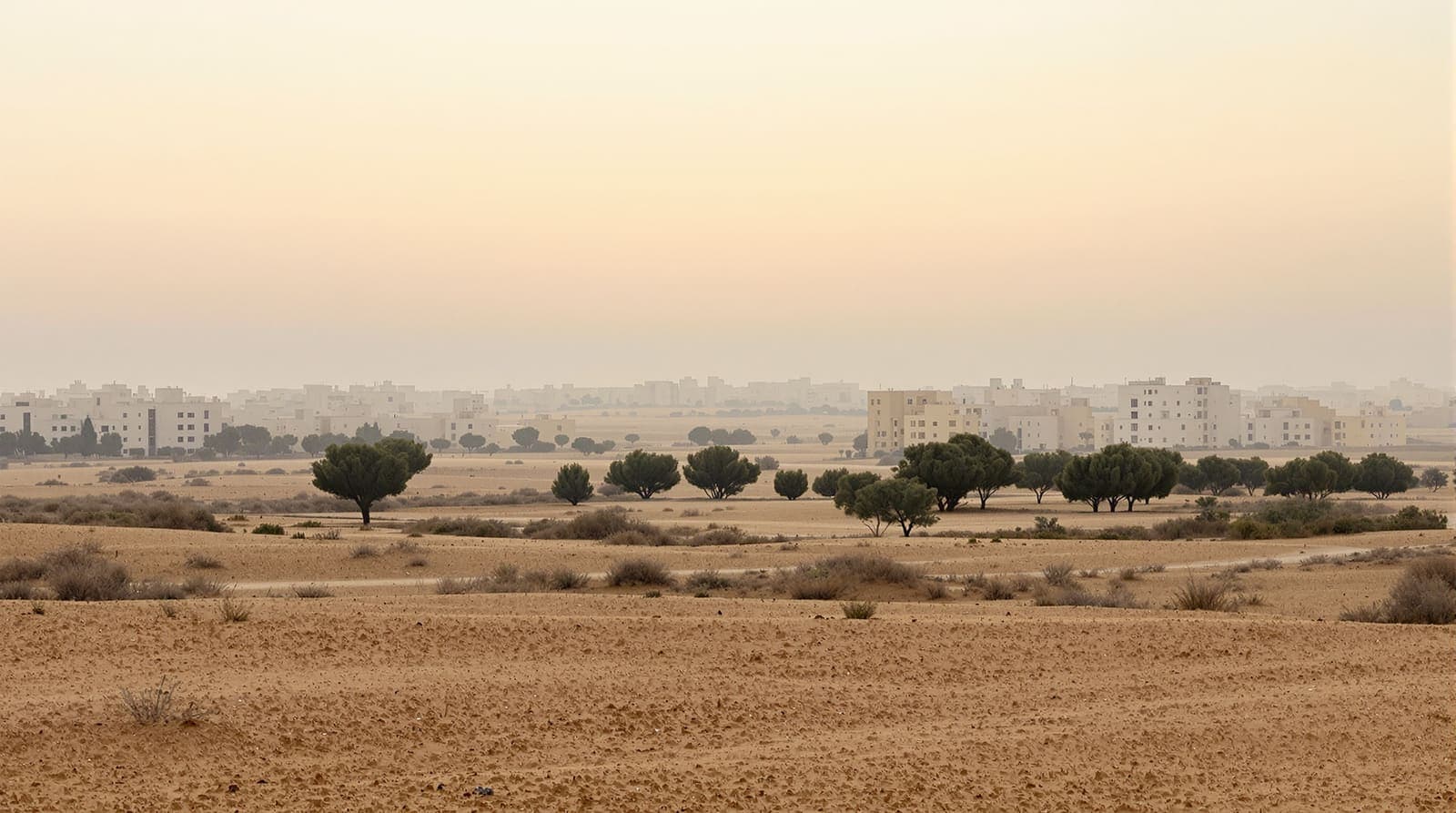 Illustration of low residential apartment blocks on the edge of Beersheba seen across Negev scrubland under a pale dawn sky.