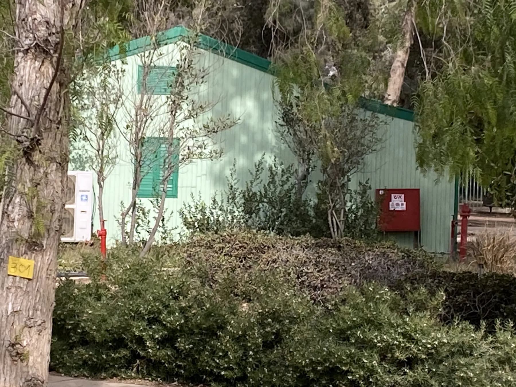 הצריף הירוק מעץ של צריף בן-גוריון בשדה בוקר, מאחורי שיחים