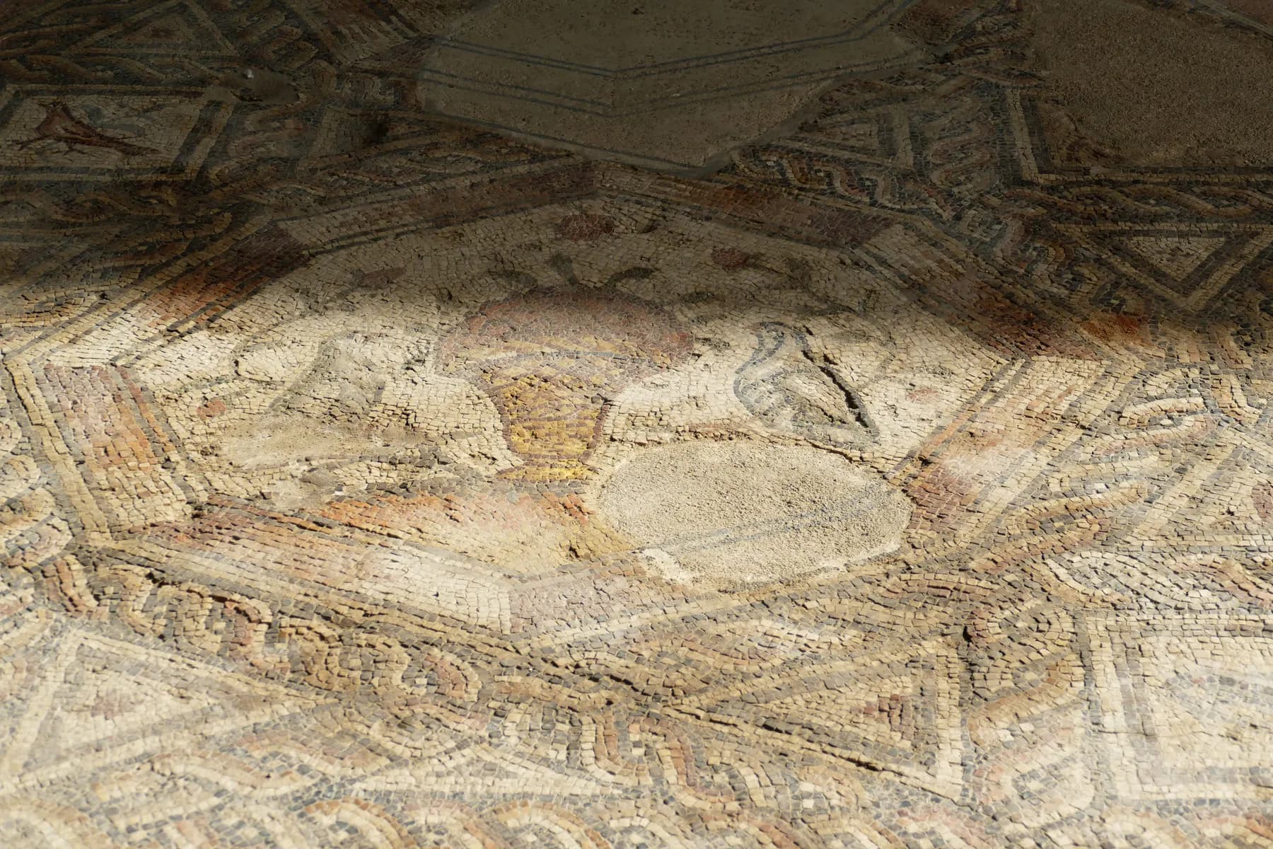 A detail of the Roman mosaic floor at the Lod Mosaic Center