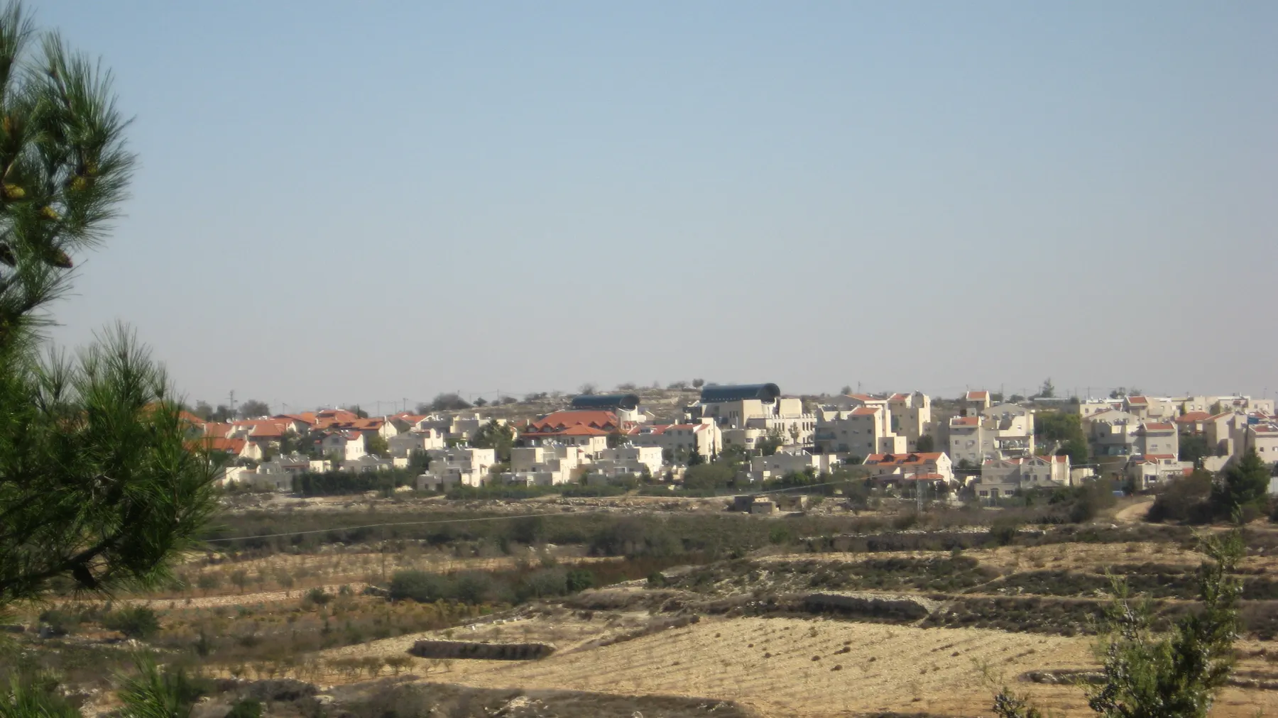 Houses with red roofs along a ridge in Alon Shvut, seen across stony terraced fields and scrub.