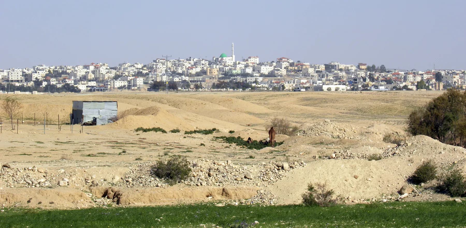 The houses of Ar'arat an-Naqab on a rise above the desert, with a mosque and its minaret among them.