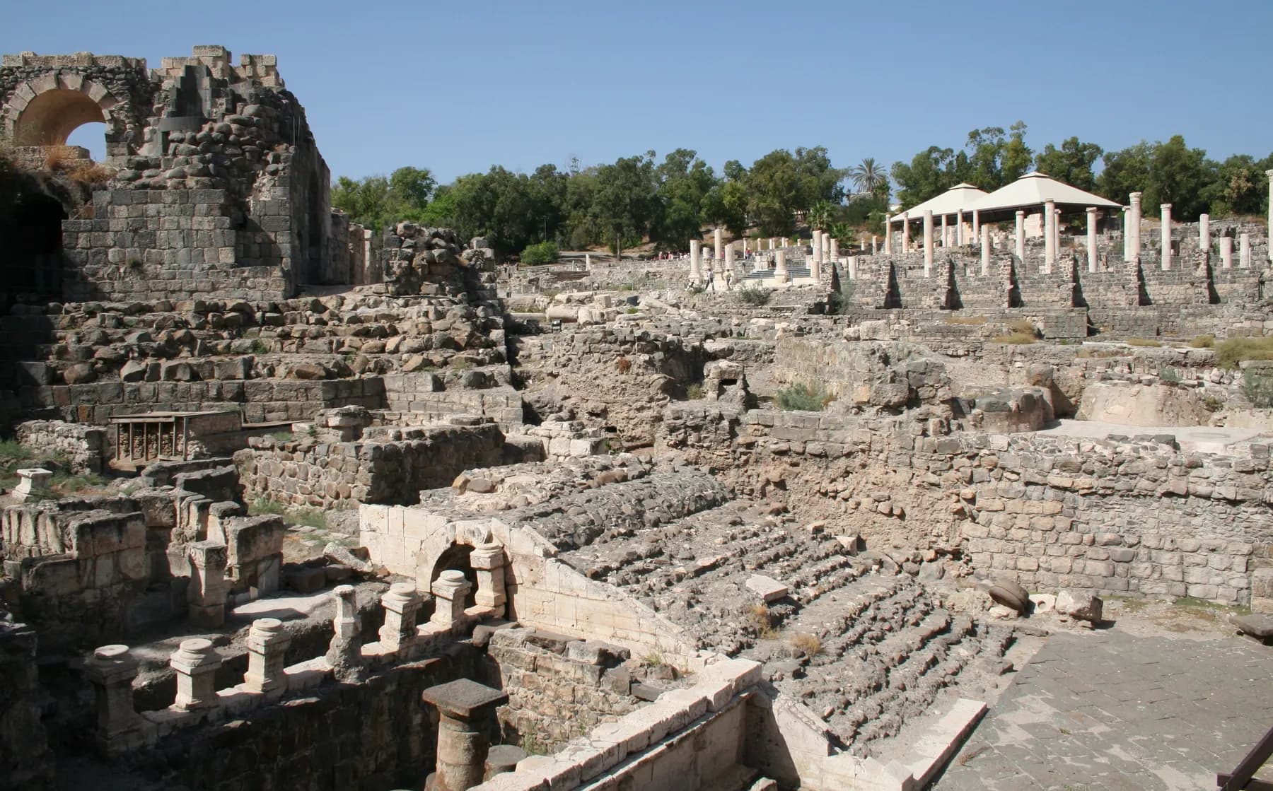 Excavated stone ruins and rows of ancient columns in Beit She'an, with green trees behind.