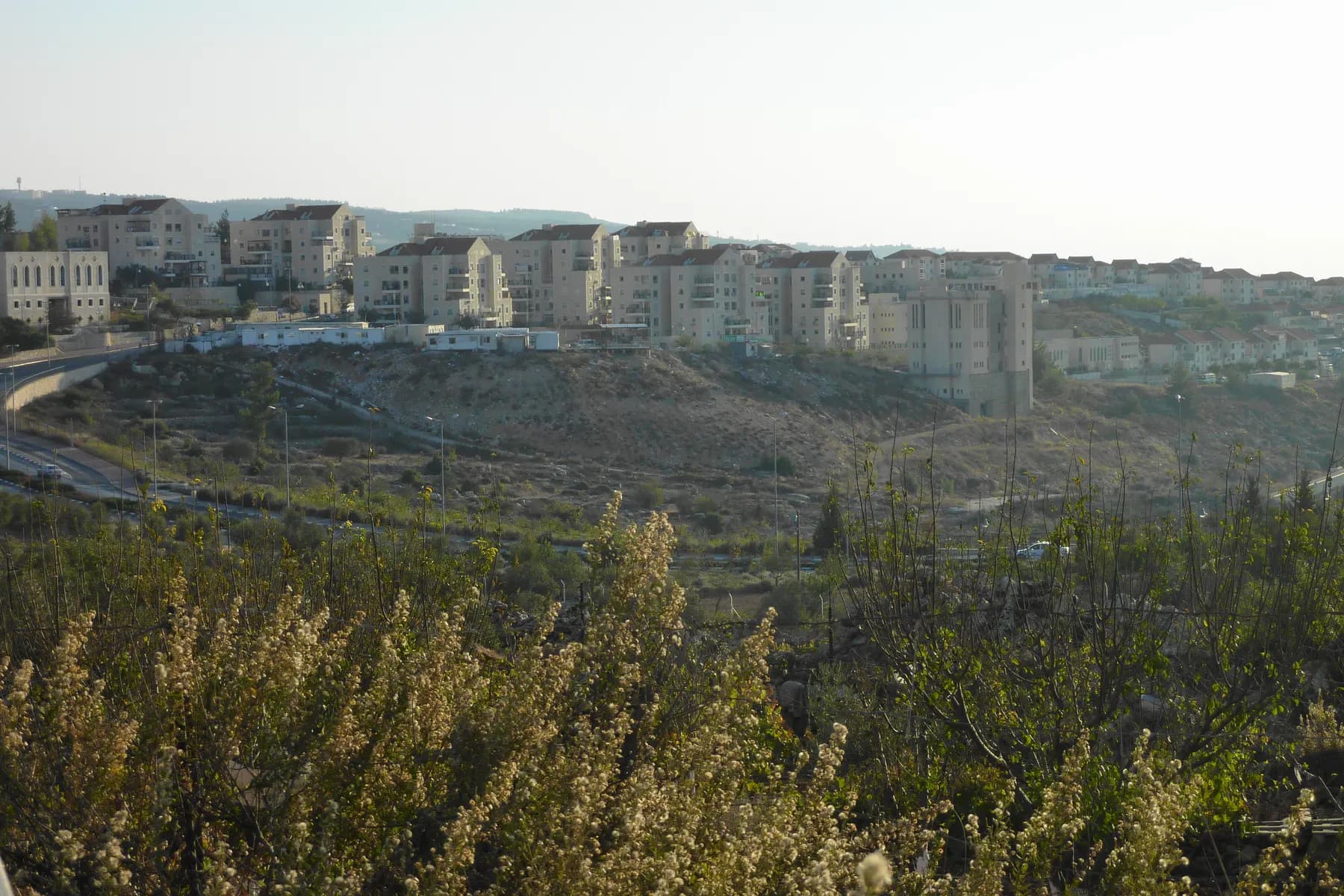 Apartment buildings along a hilltop in Beitar Illit, above a slope covered in scrub and a road.