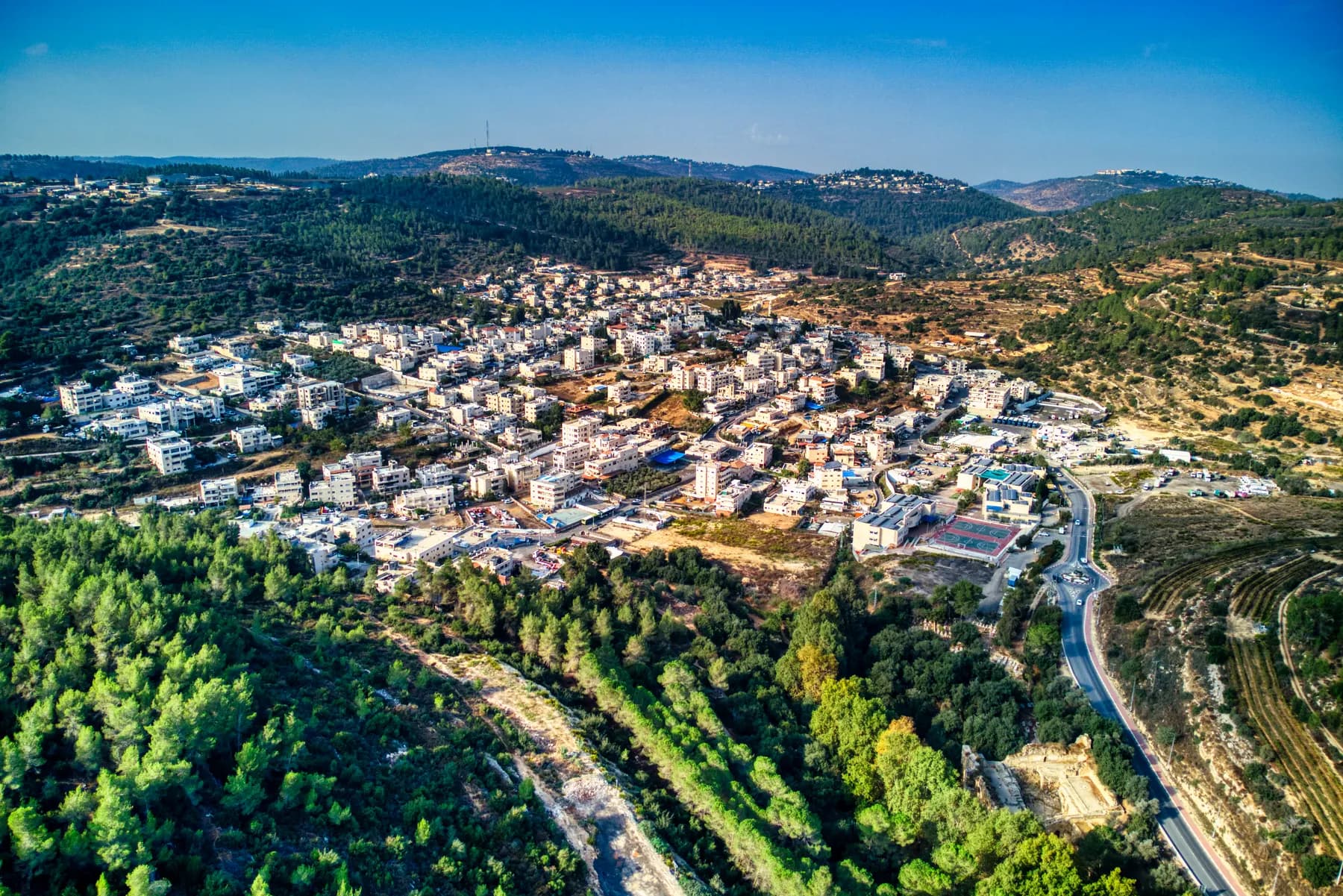 An aerial view of Ein Naqquba, its pale houses spread across a hillside between pine woods and terraced slopes, with a road winding past and wooded hills behind.