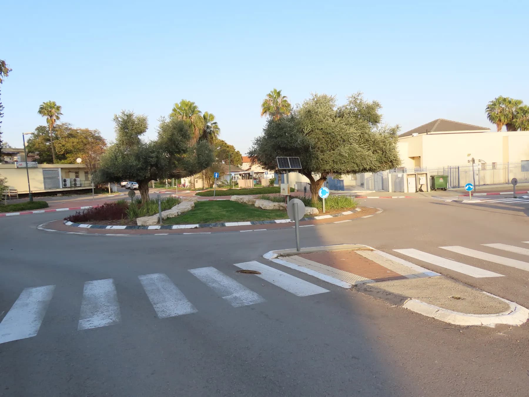 A roundabout planted with olive trees in Hafetz Haim, with palms and low buildings around it and a pedestrian crossing in front.