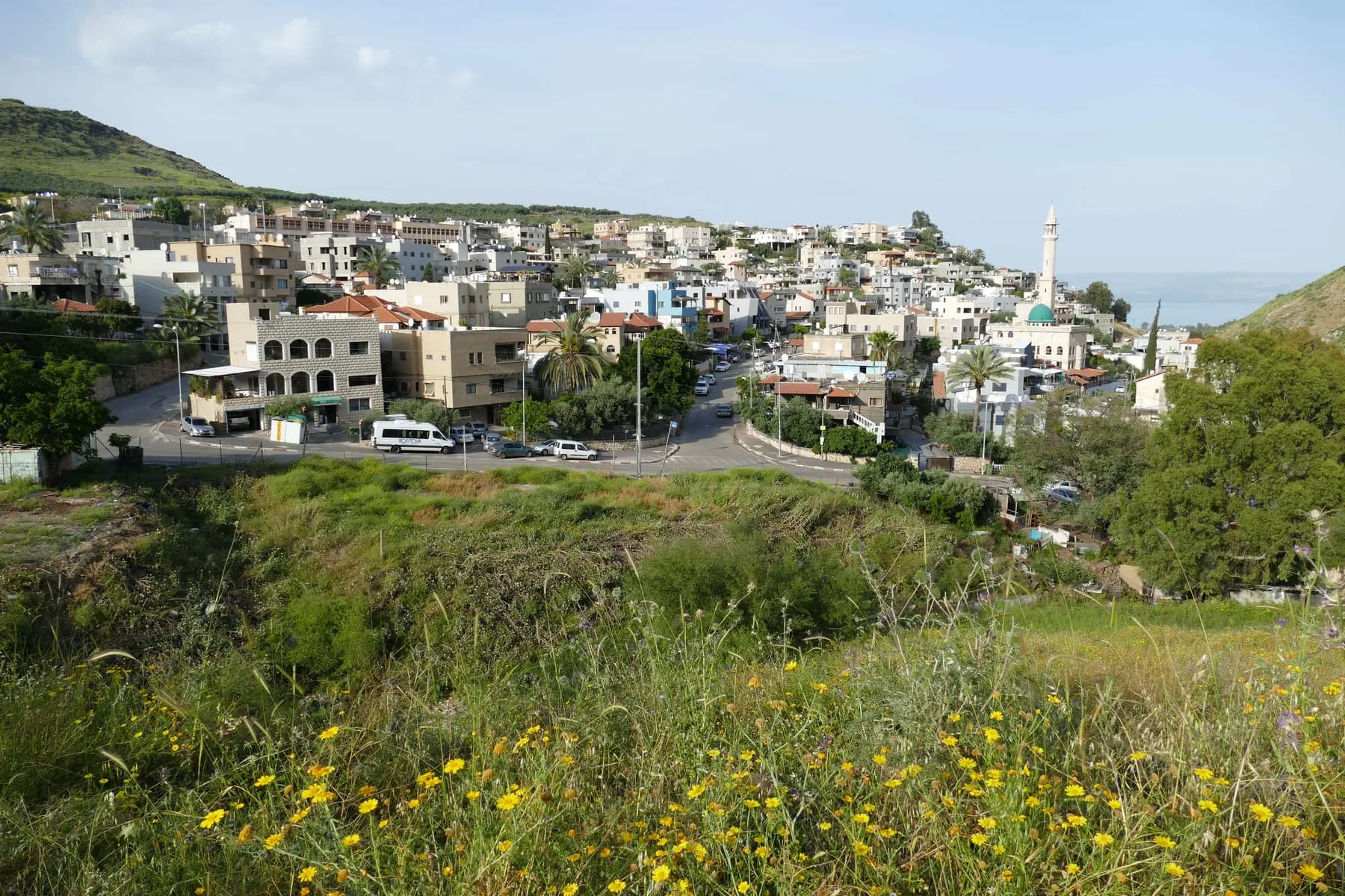 Houses and a slender white minaret of Hamaam on a slope at the foot of a mountain, seen across a grassy bank with yellow wildflowers.