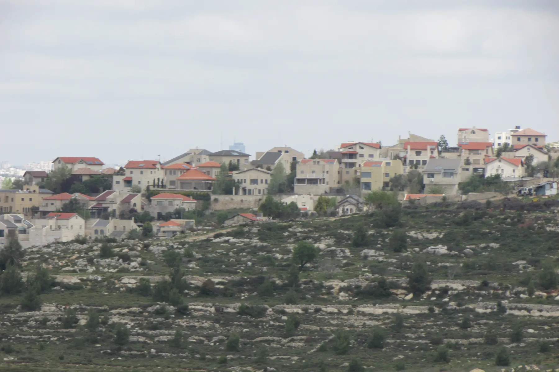 Houses with red and grey roofs along a hilltop in Har Adar, seen across terraced slopes with scattered trees.