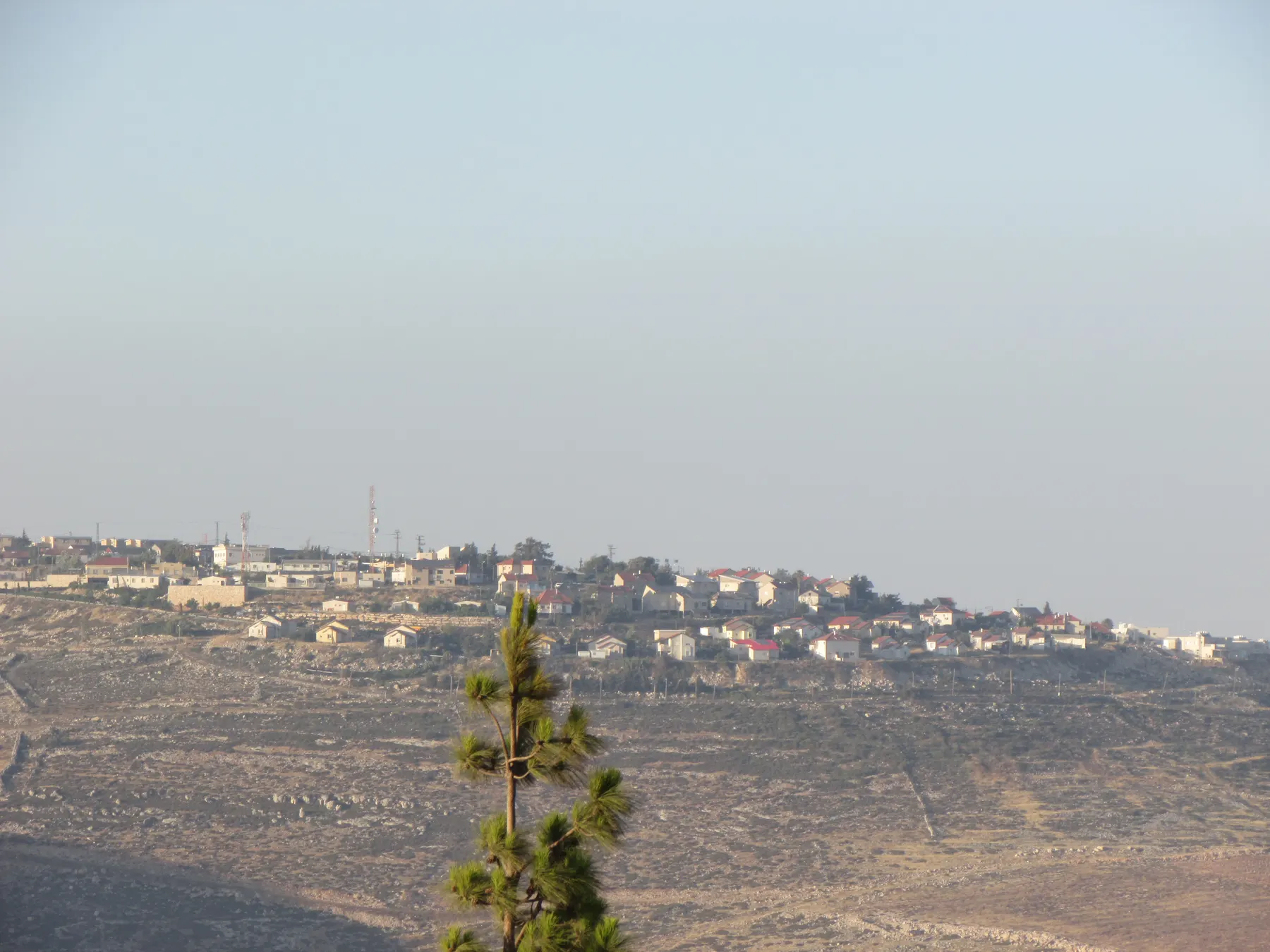 Houses with red roofs along a hilltop at Har Brakha, seen across a dry terraced slope, with the top of a pine tree in front.